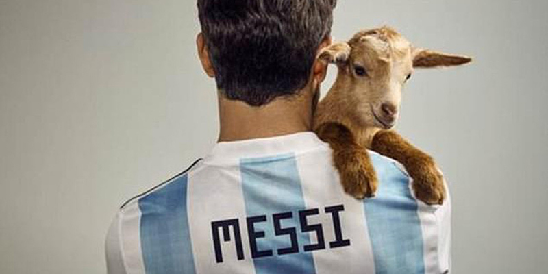 Tìm hiểu nguồn gốc và ý nghĩa của từ goat